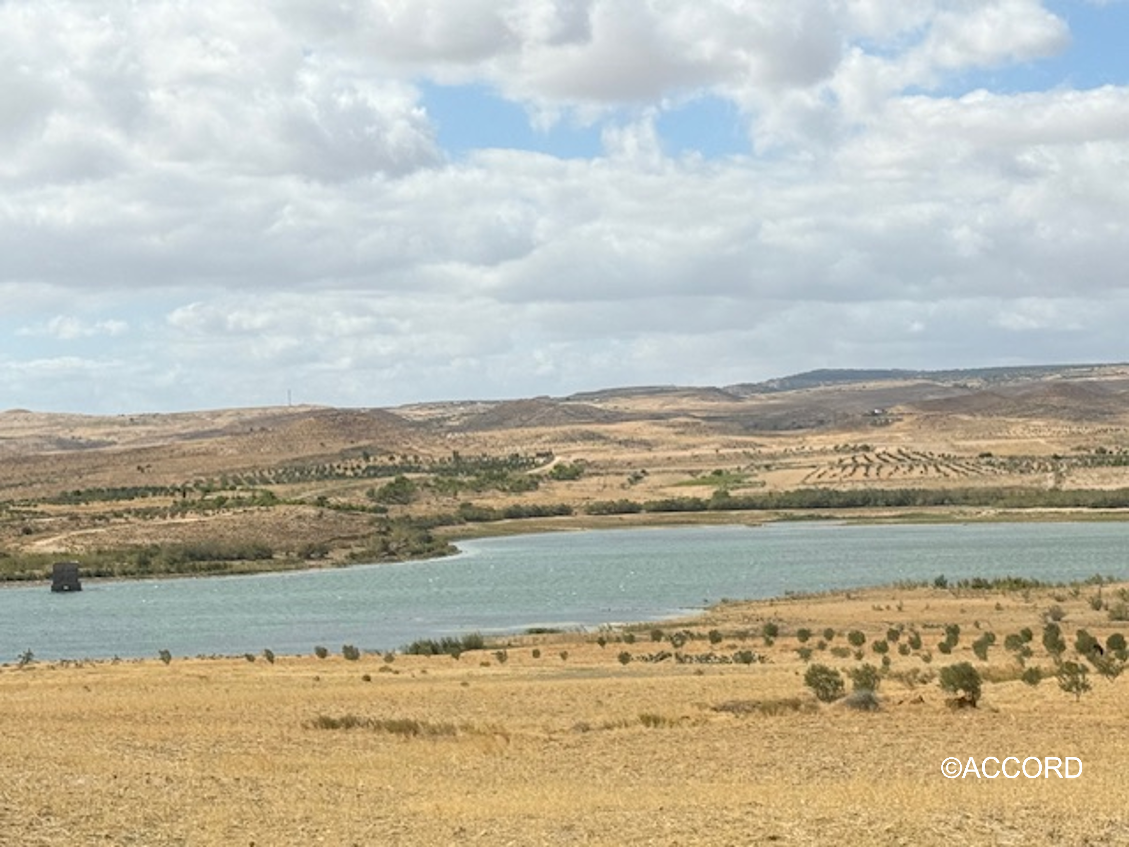 El Alaa, Tunisia