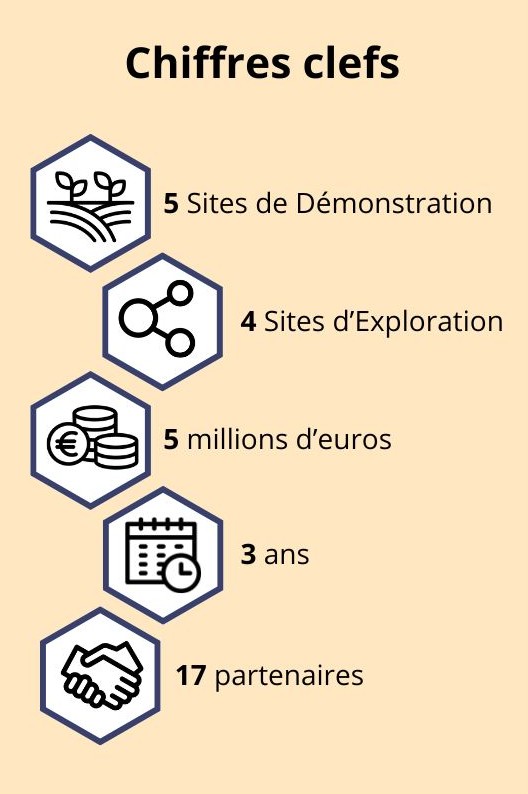 key figures french