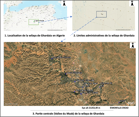 FIg 1 diag alg&eacute;rie