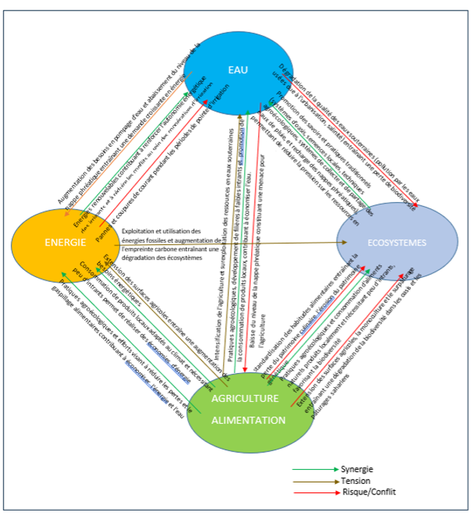 Defis Nexus Alg&eacute;rie